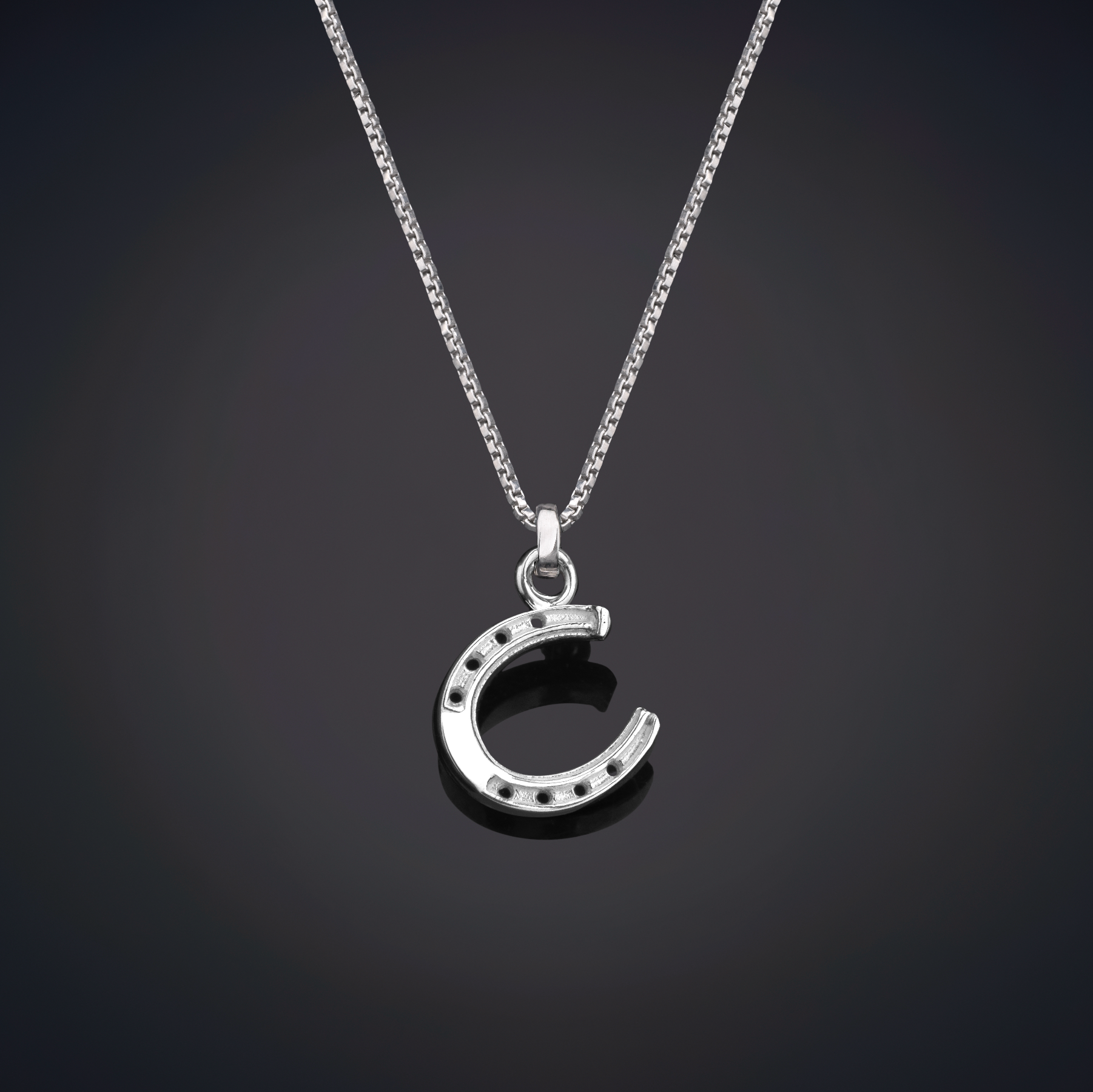 Lucky Horseshoe Necklace Sterling Silver